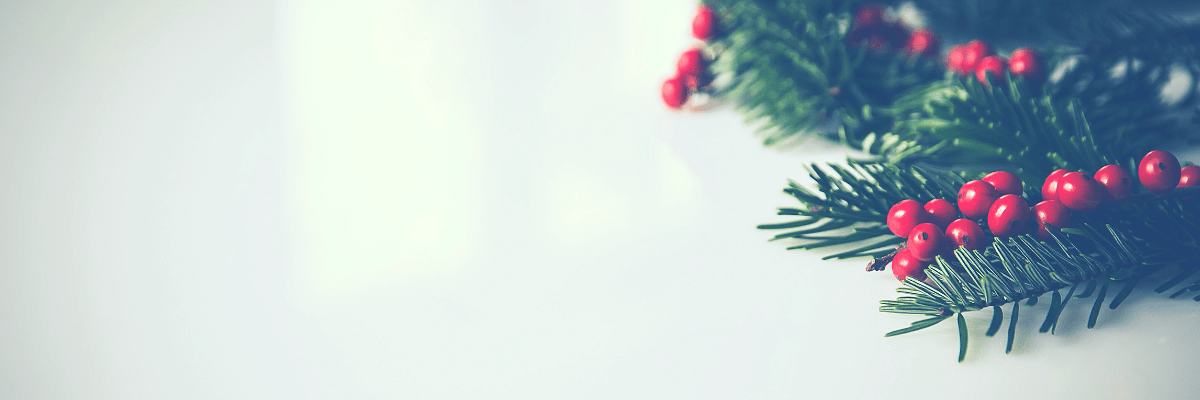 Merry Christmas and Happy Holidays from The Team At Brandwear.