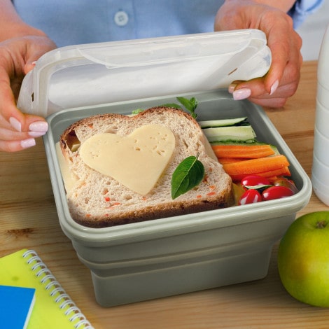 trends-collection-120336-collapsible-lunch-box-reusable