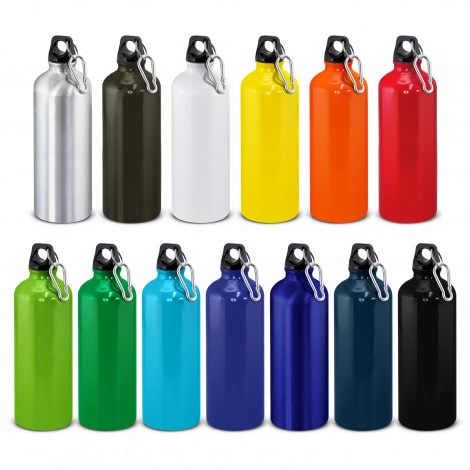 Intrepid Drink Bottle - 800ml
