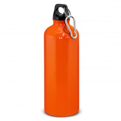 Intrepid Drink Bottle - 800ml