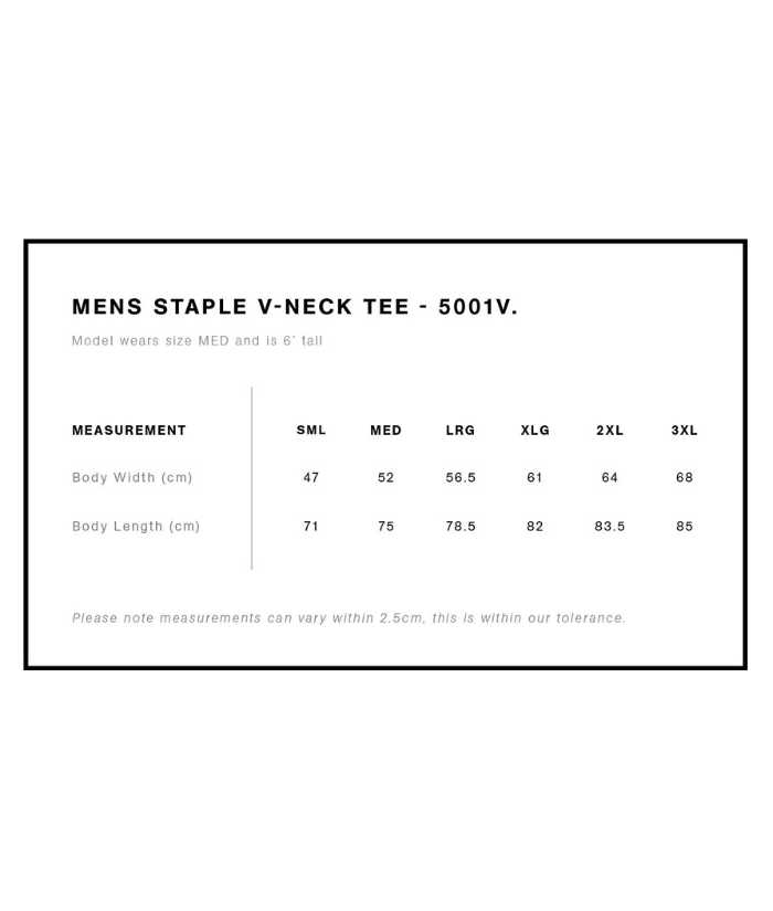 Mens Staple V-Neck Tee