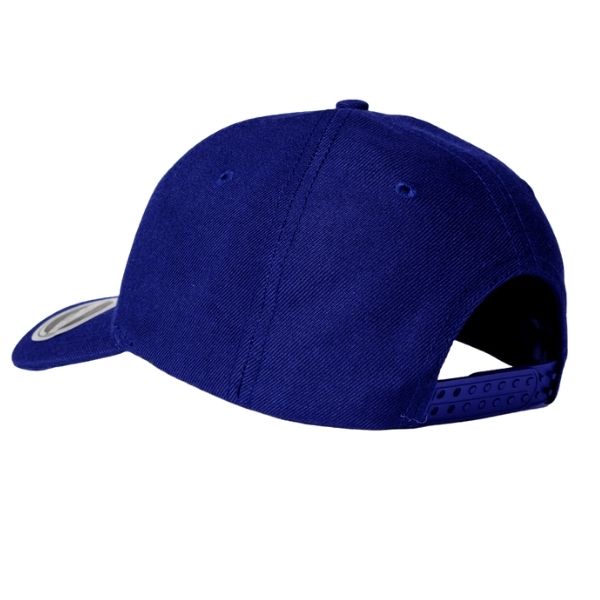 Pro Style Snapback Cap